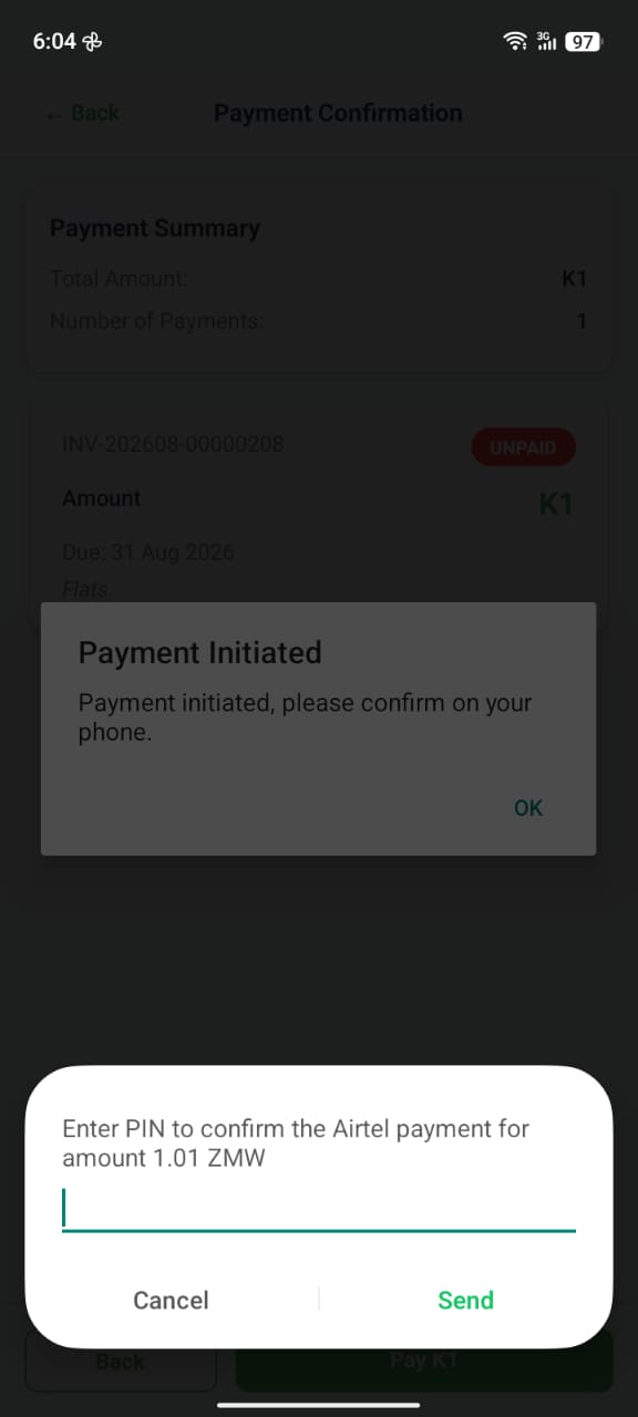 Native USSD pop-up prompting for a PIN to confirm the payment