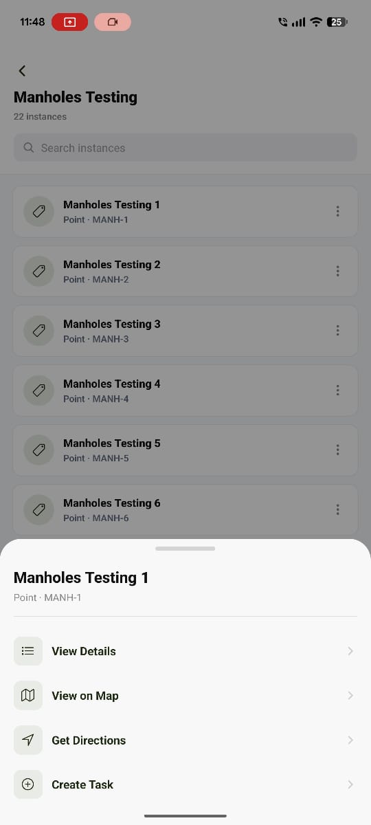 Individual assets listed inside the Manhole Testing asset class