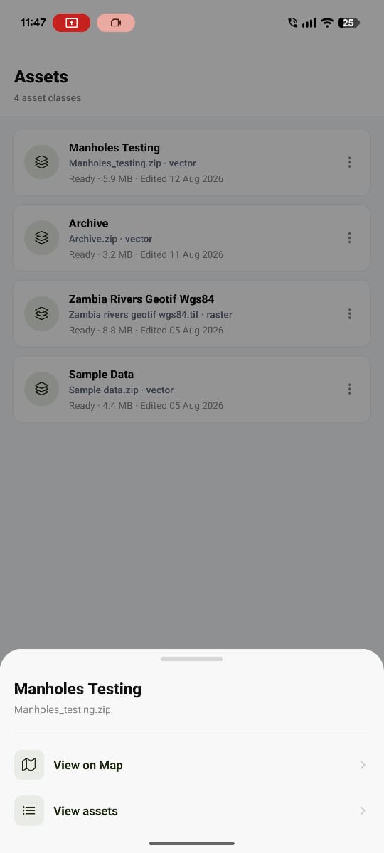 Popup showing an asset class with options to open on map or view assets